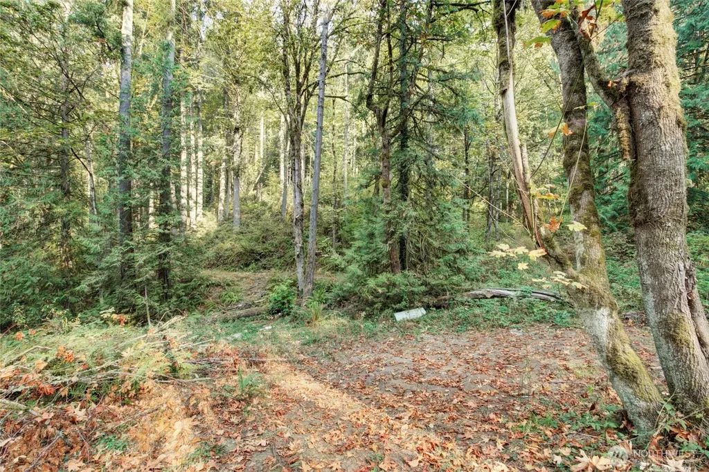 37 SE 212th Way Sammamish WA 98075
