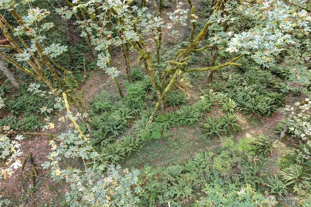 37 SE 212th Way Sammamish WA 98075