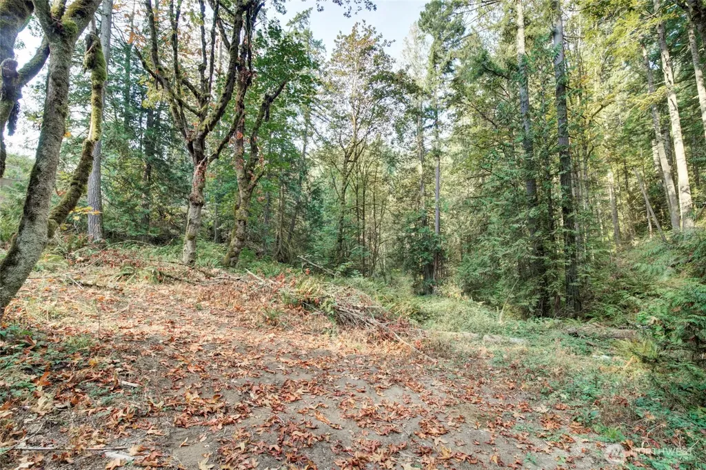 37 SE 212th Way Sammamish WA 98075