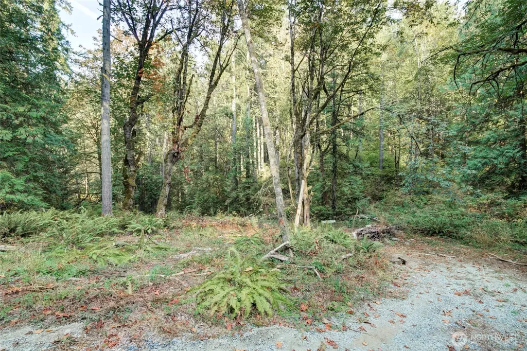 37 SE 212th Way Sammamish WA 98075
