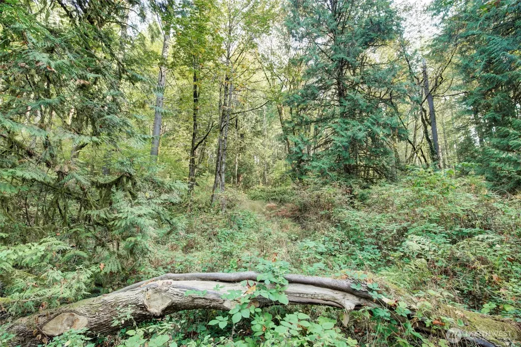 37 SE 212th Way Sammamish WA 98075
