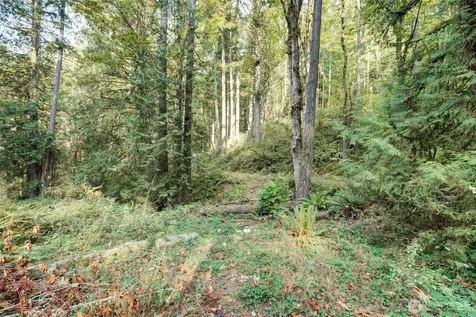 37 SE 212th Way Sammamish WA 98075