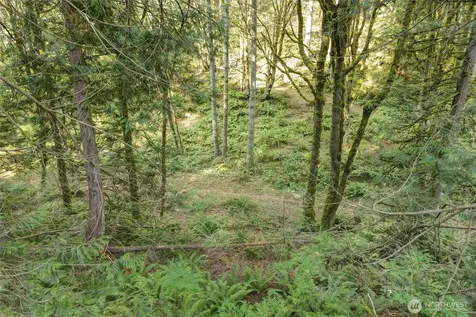 37 SE 212th Way Sammamish WA 98075