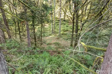 37 SE 212th Way Sammamish WA 98075