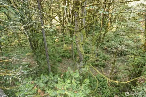 37 SE 212th Way Sammamish WA 98075