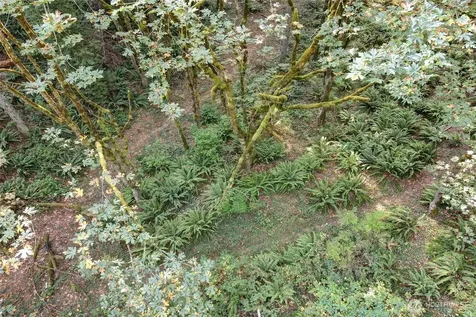 37 SE 212th Way Sammamish WA 98075
