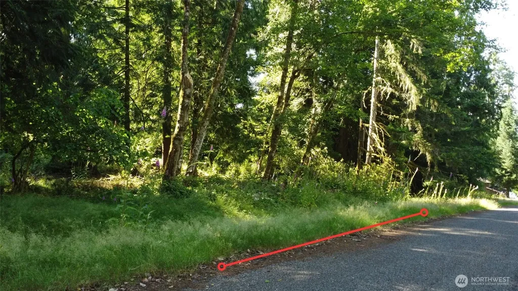 10114 Selma Circle Anderson Island WA 98303
