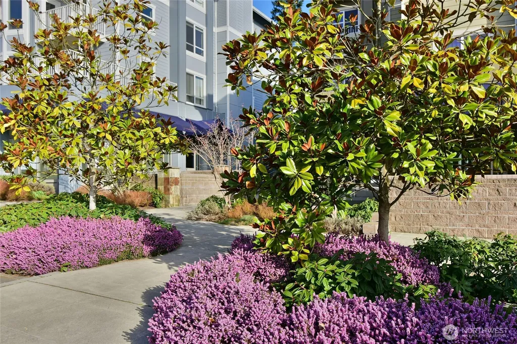 300 High School Road NE Bainbridge Island WA 98110