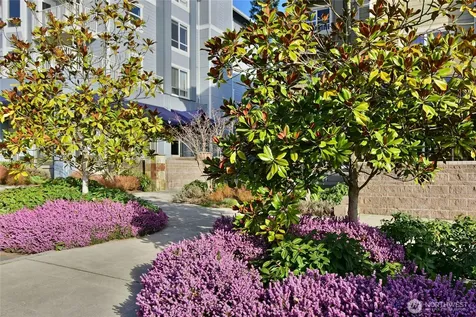 300 High School Road NE Bainbridge Island WA 98110