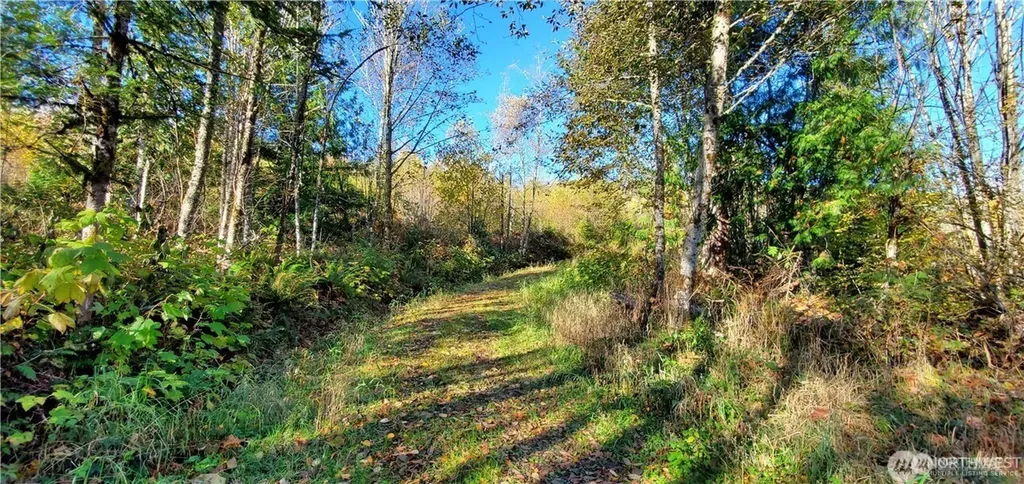 0 Valley Highway Acme WA 98220