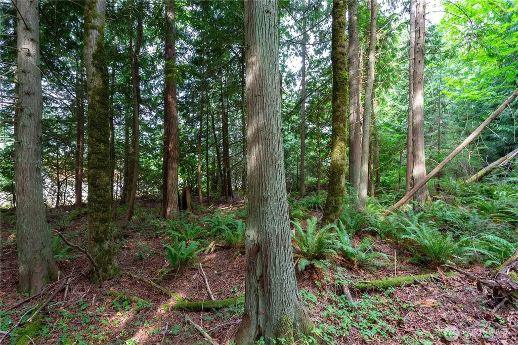 0 Lakewood Road Stanwood WA 98292