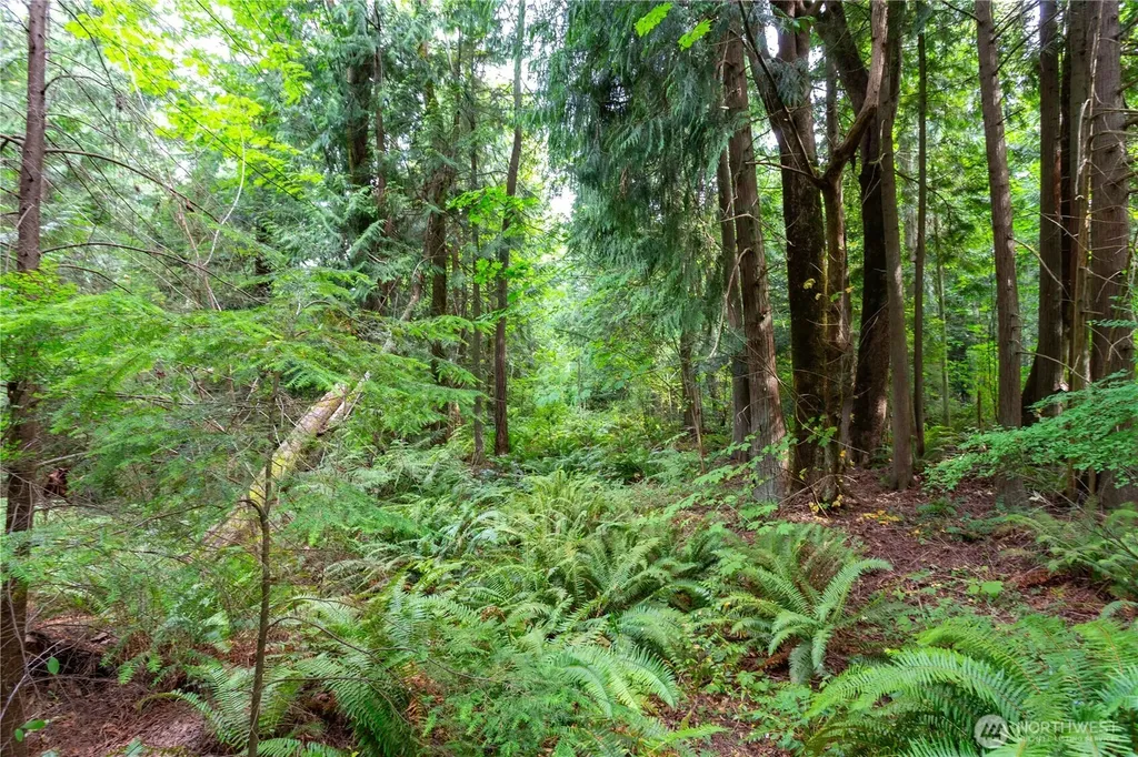 0 Lakewood Road Stanwood WA 98292