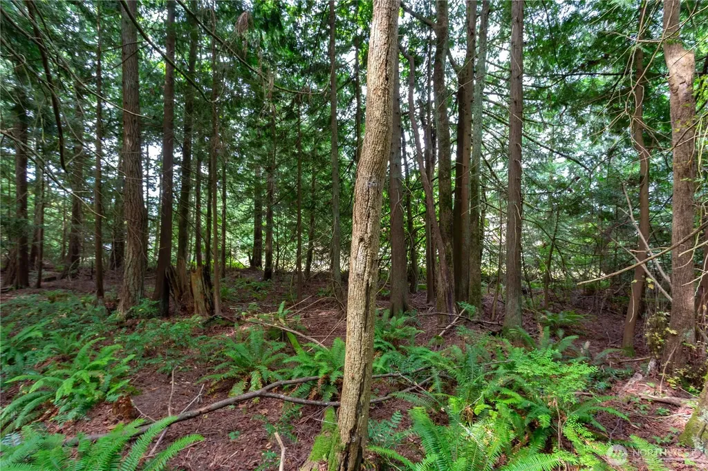 0 Lakewood Road Stanwood WA 98292