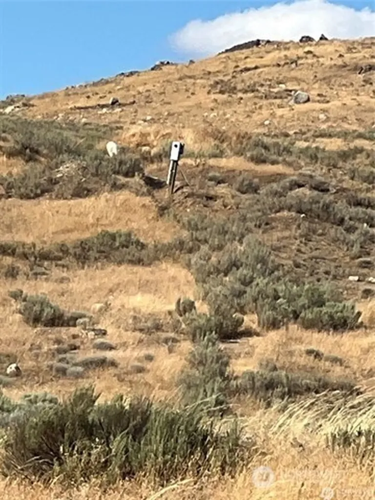 0 Lot 3 Gunsmoke Brewster WA 98812