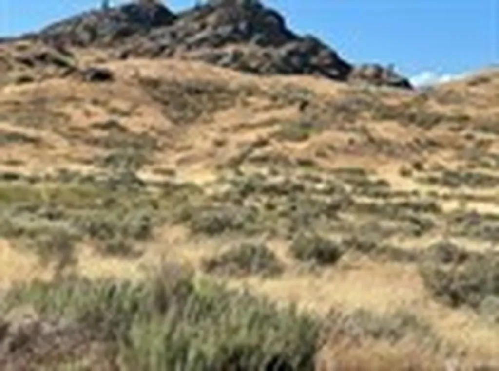 0 Lot 3 Gunsmoke Brewster WA 98812