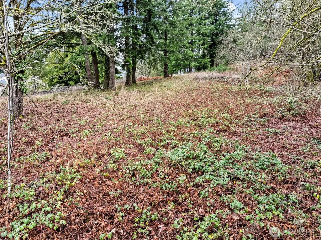 7 7th Avenue SW Tumwater WA 98512