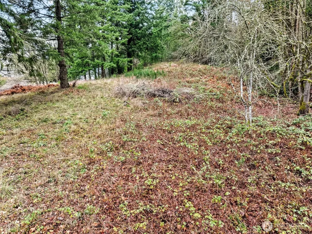 7 7th Avenue SW Tumwater WA 98512