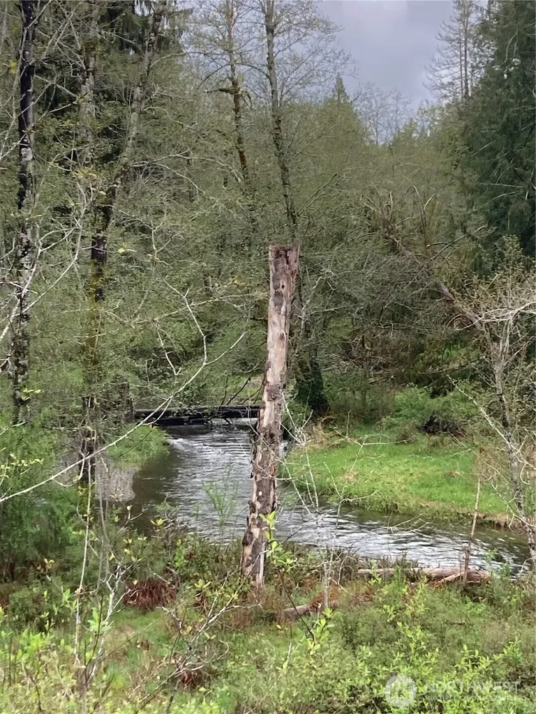 0 East Of Bingham Creek Elma WA 98541