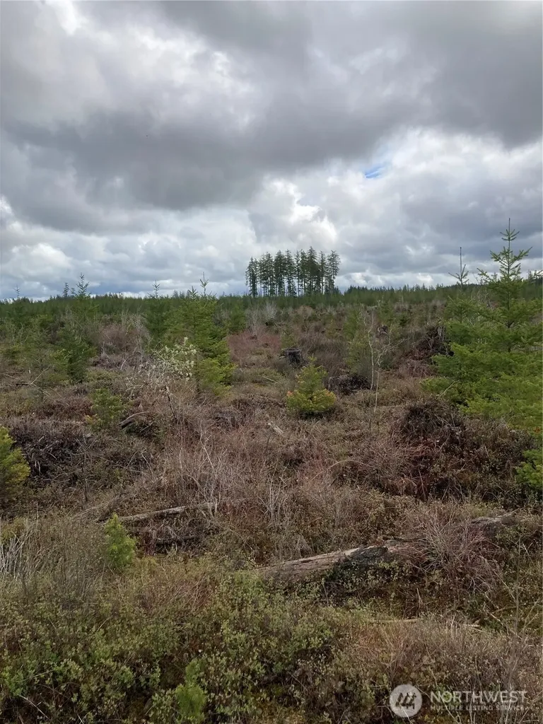 0 East Of Bingham Creek Elma WA 98541