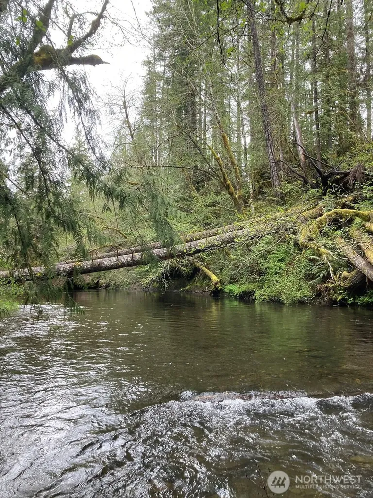 0 East Of Bingham Creek Elma WA 98541
