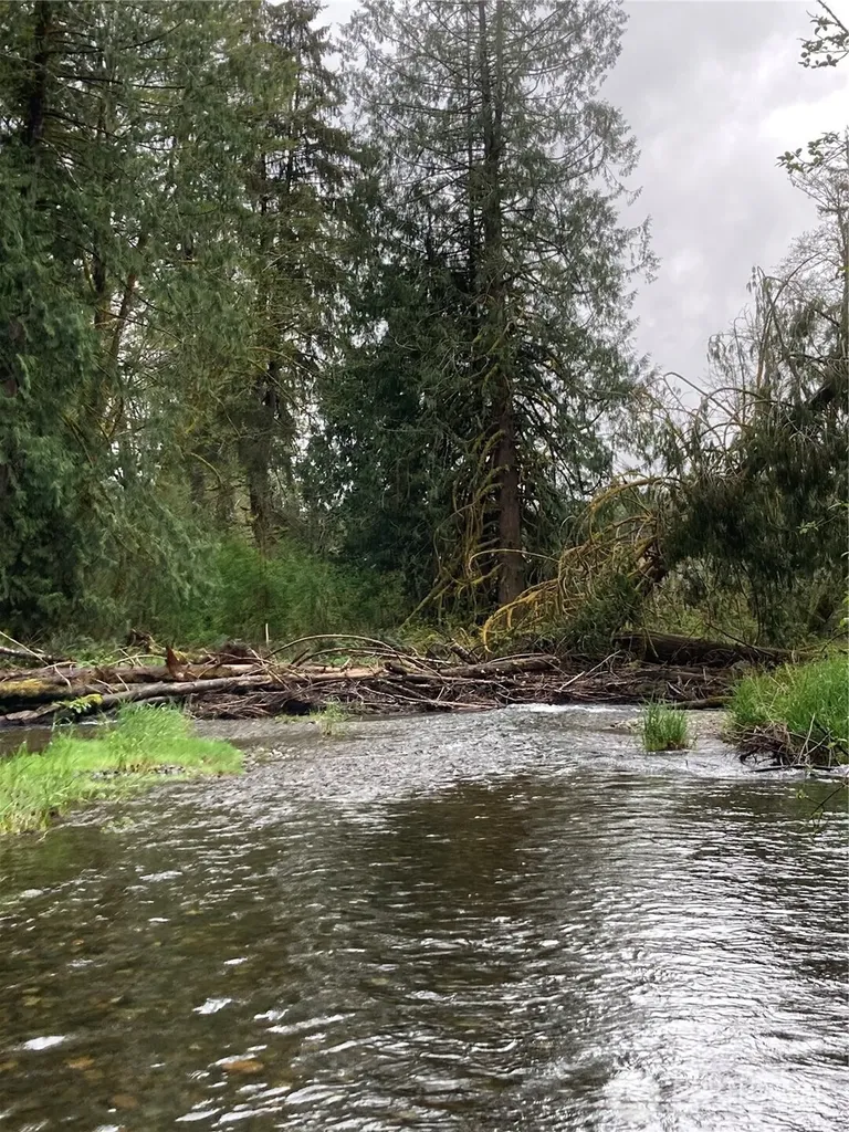 0 East Of Bingham Creek Elma WA 98541