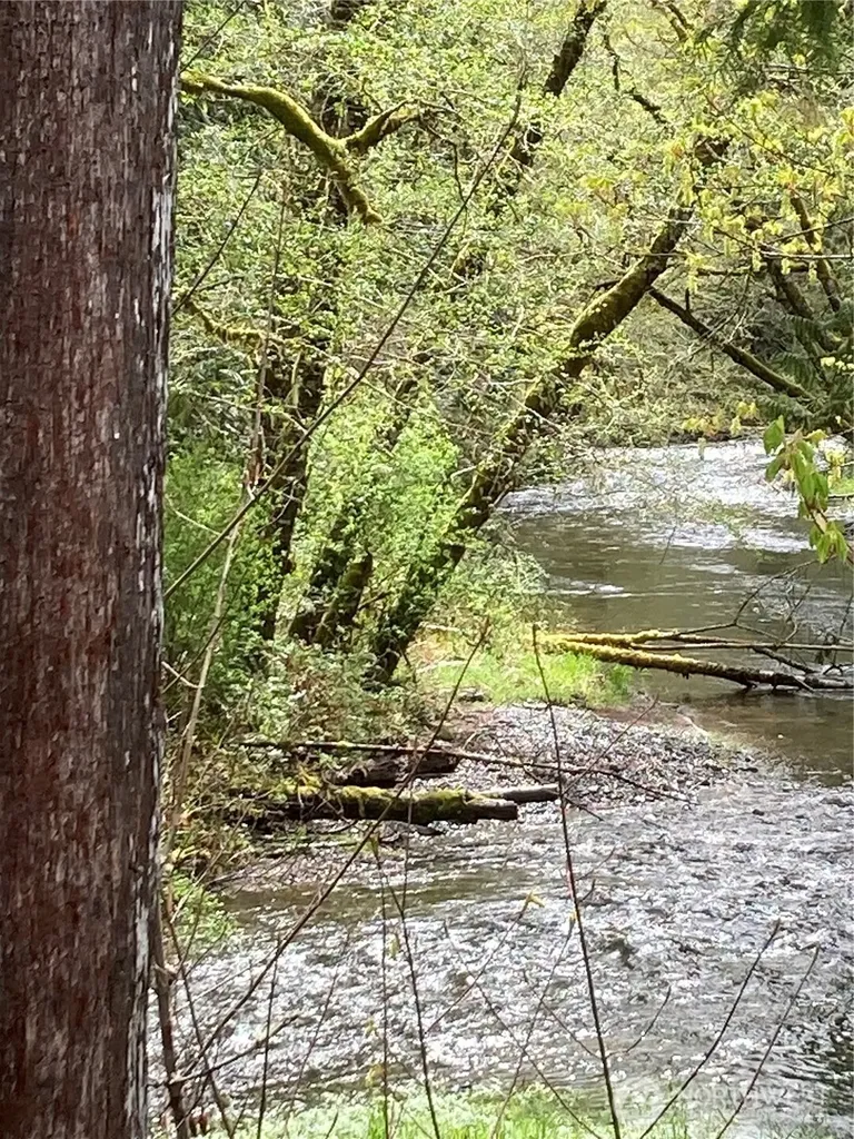 0 East Of Bingham Creek Elma WA 98541