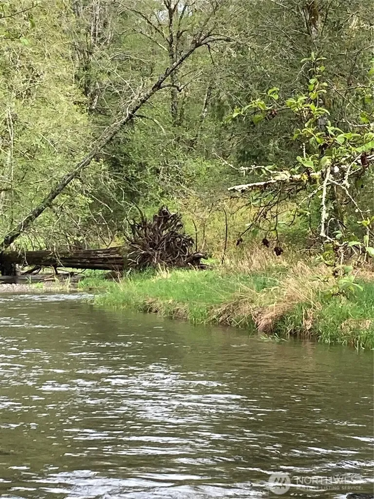 0 East Of Bingham Creek Elma WA 98541