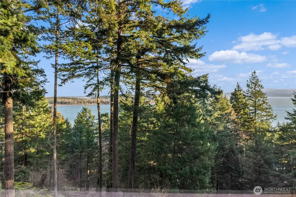 1103 Berry Way Lummi Island WA 98262