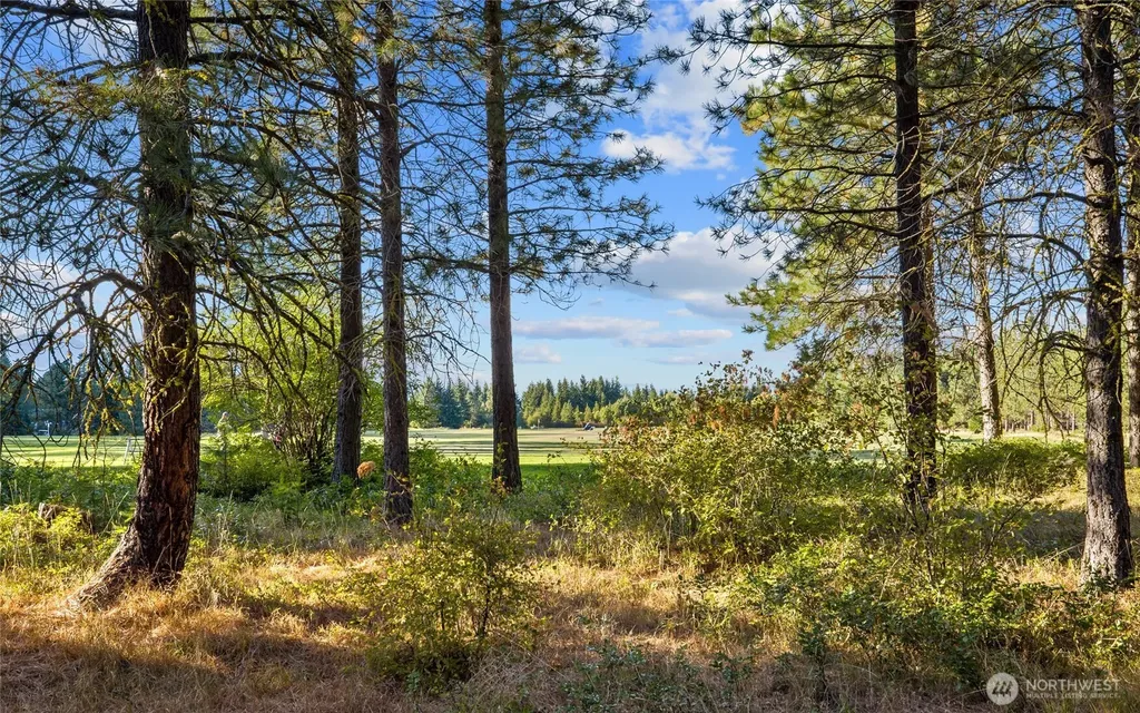 2040 Ruby King Loop Cle Elum WA 98922