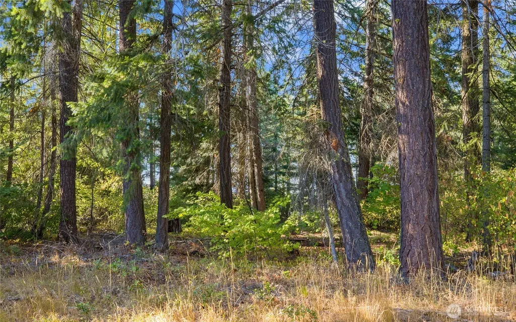 2040 Ruby King Loop Cle Elum WA 98922