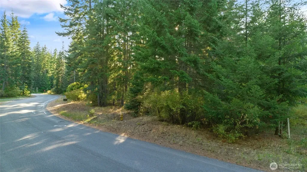 2040 Ruby King Loop Cle Elum WA 98922
