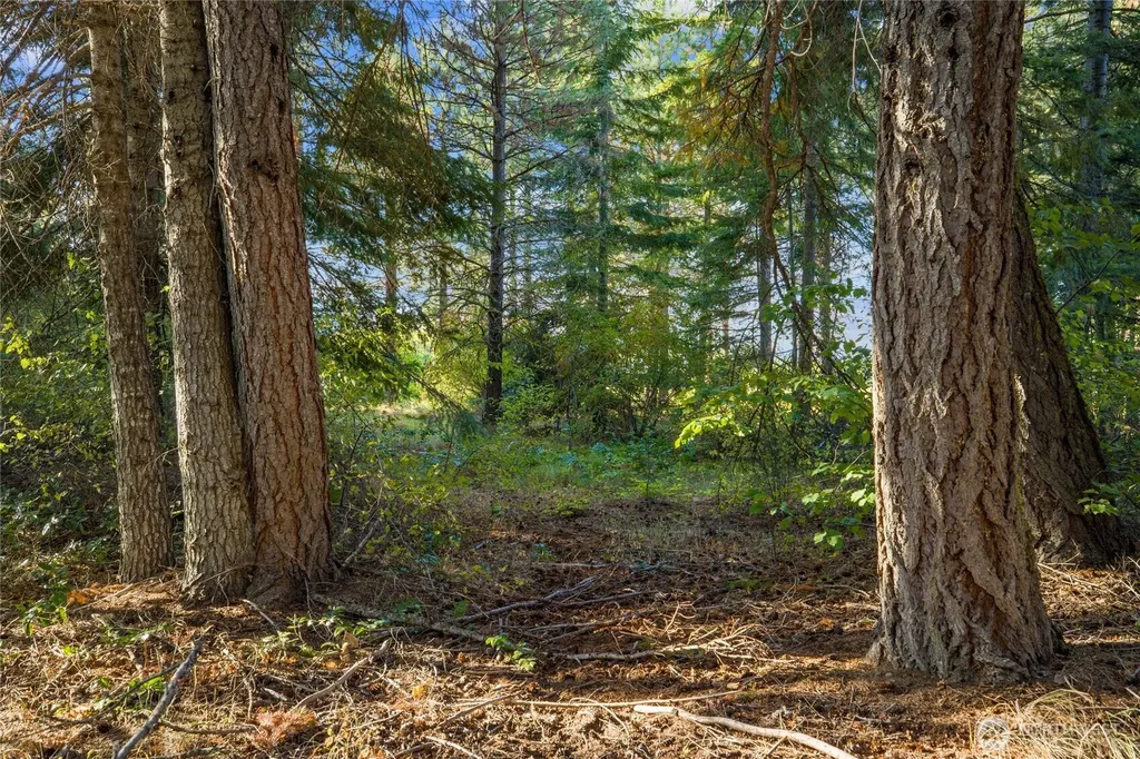 2040 Ruby King Loop Cle Elum WA 98922