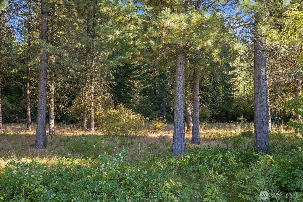 2040 Ruby King Loop Cle Elum WA 98922