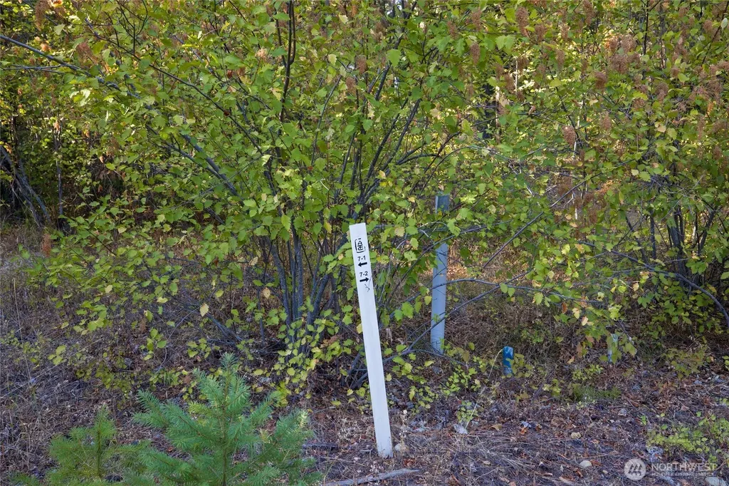 2040 Ruby King Loop Cle Elum WA 98922