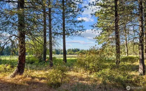 2040 Ruby King Loop Cle Elum WA 98922