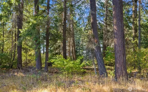 2040 Ruby King Loop Cle Elum WA 98922