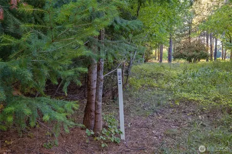 2040 Ruby King Loop Cle Elum WA 98922