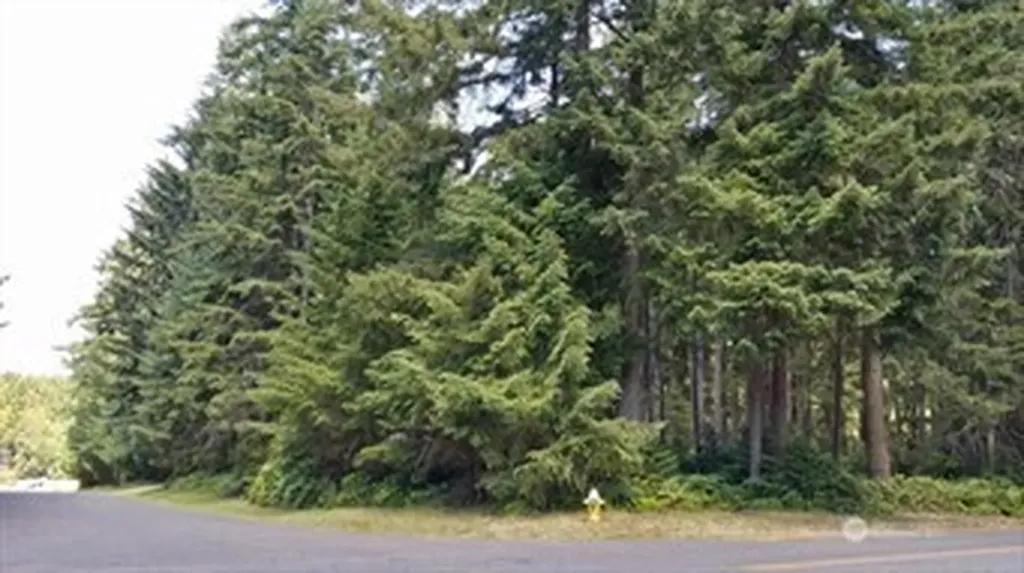 10211 Tahoma Drive Anderson Island WA 98303