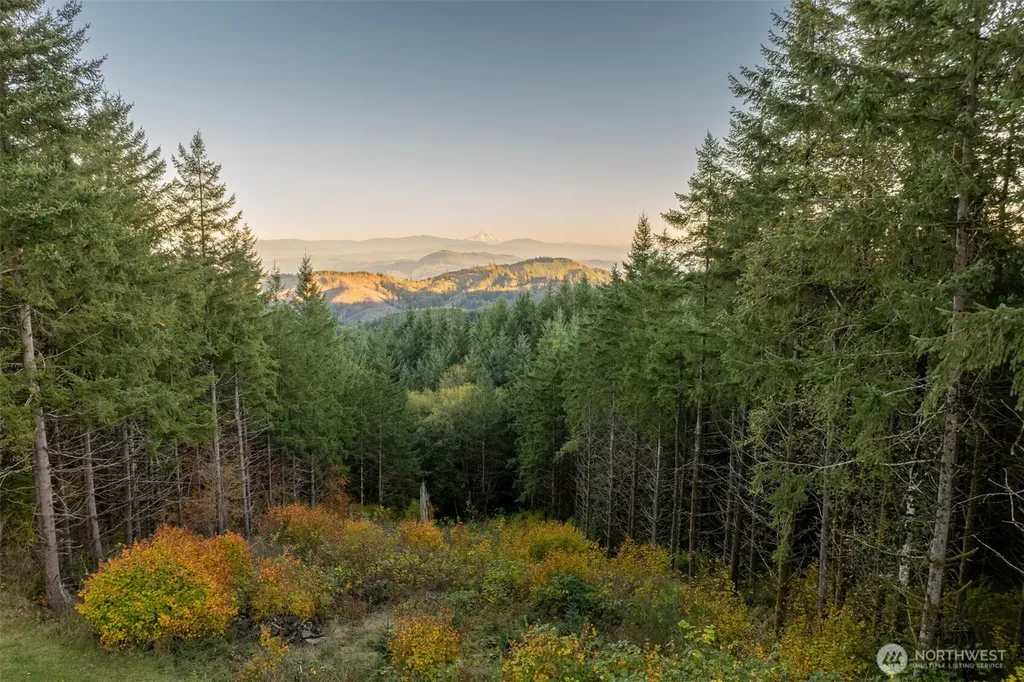 421 Woodland Heights Road Woodland WA 98674