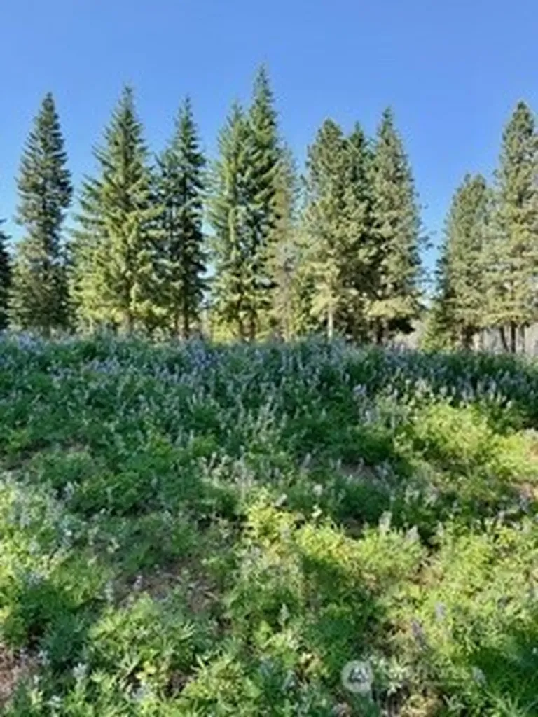 20637 Miracle Mile Leavenworth WA 98826