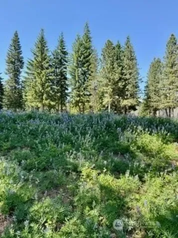 20637 Miracle Mile Leavenworth WA 98826