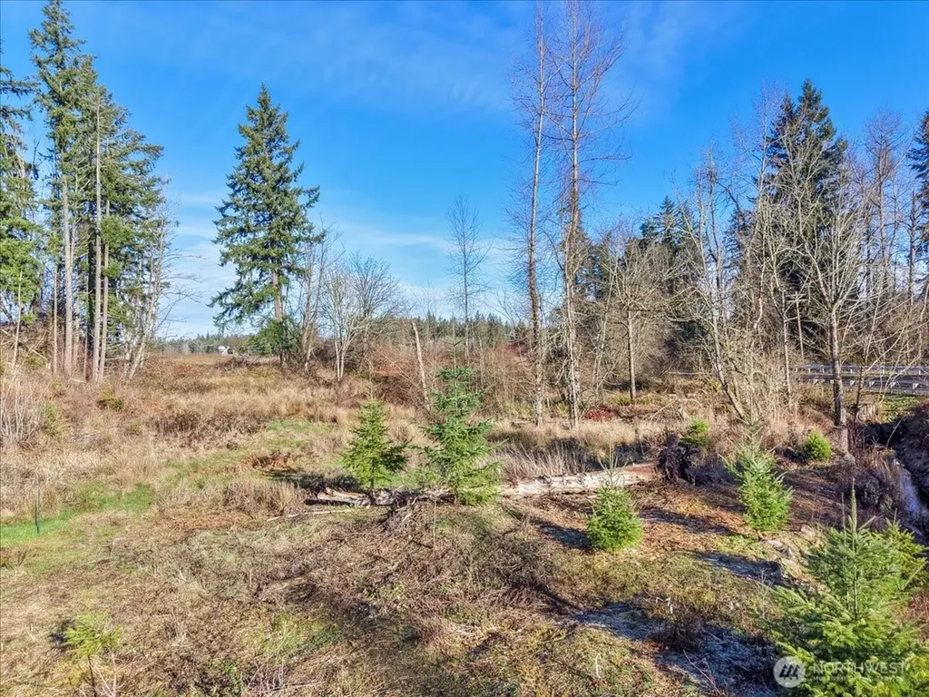 41524 Meridian E Eatonville WA 98328