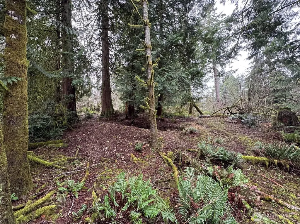 10110 Selma Circle Anderson Island WA 98303