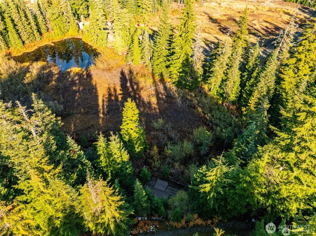 63 Snoqualmie Village Drive Snoqualmie Pass WA 98068