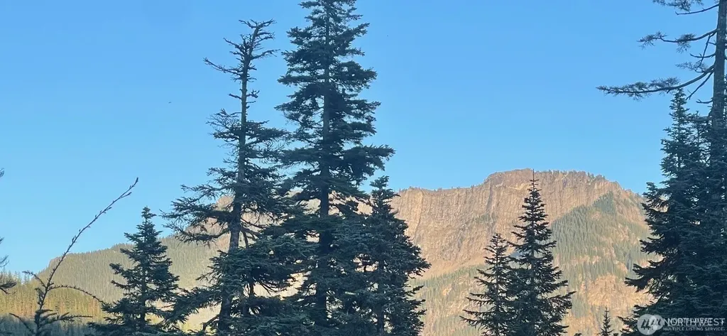 63 Snoqualmie Village Drive Snoqualmie Pass WA 98068