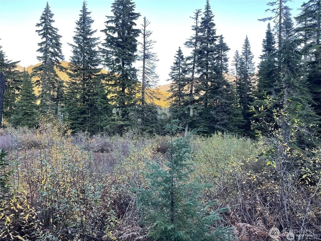 63 Snoqualmie Village Drive Snoqualmie Pass WA 98068