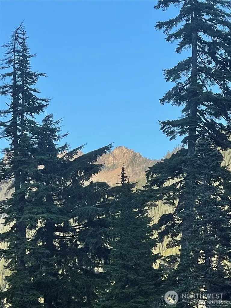63 Snoqualmie Village Drive Snoqualmie Pass WA 98068