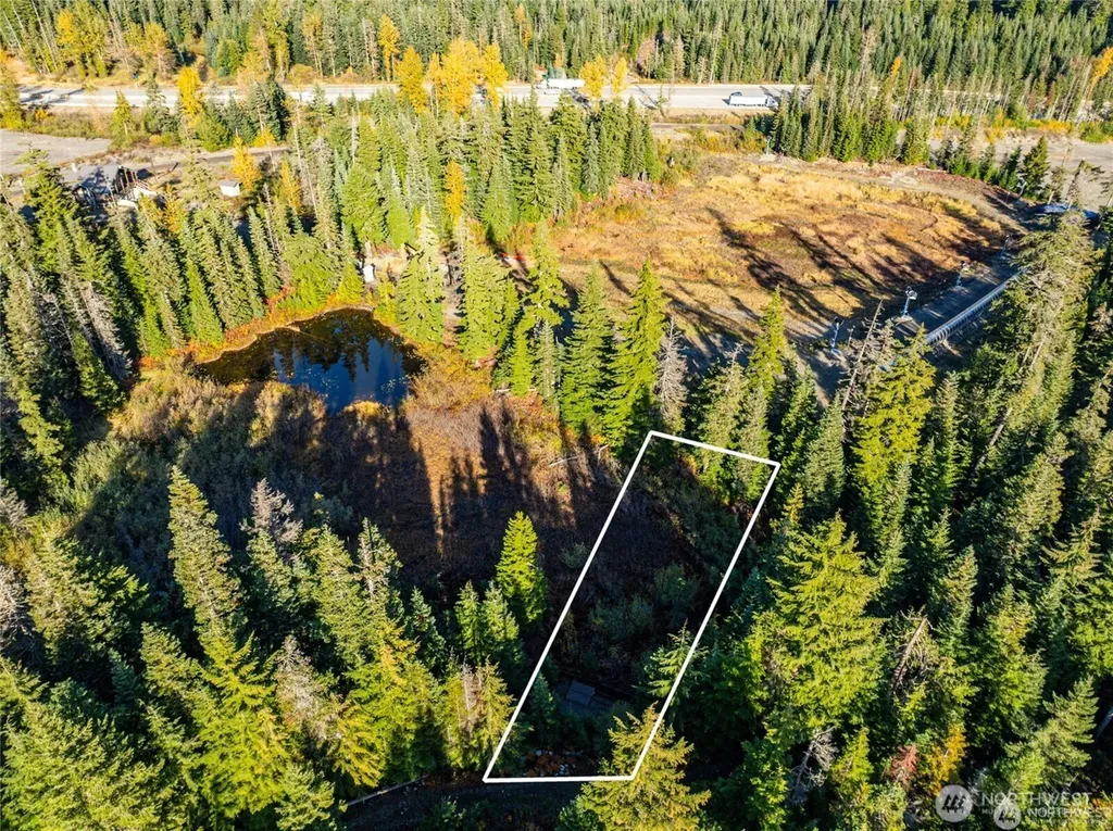 63 Snoqualmie Village Drive Snoqualmie Pass WA 98068