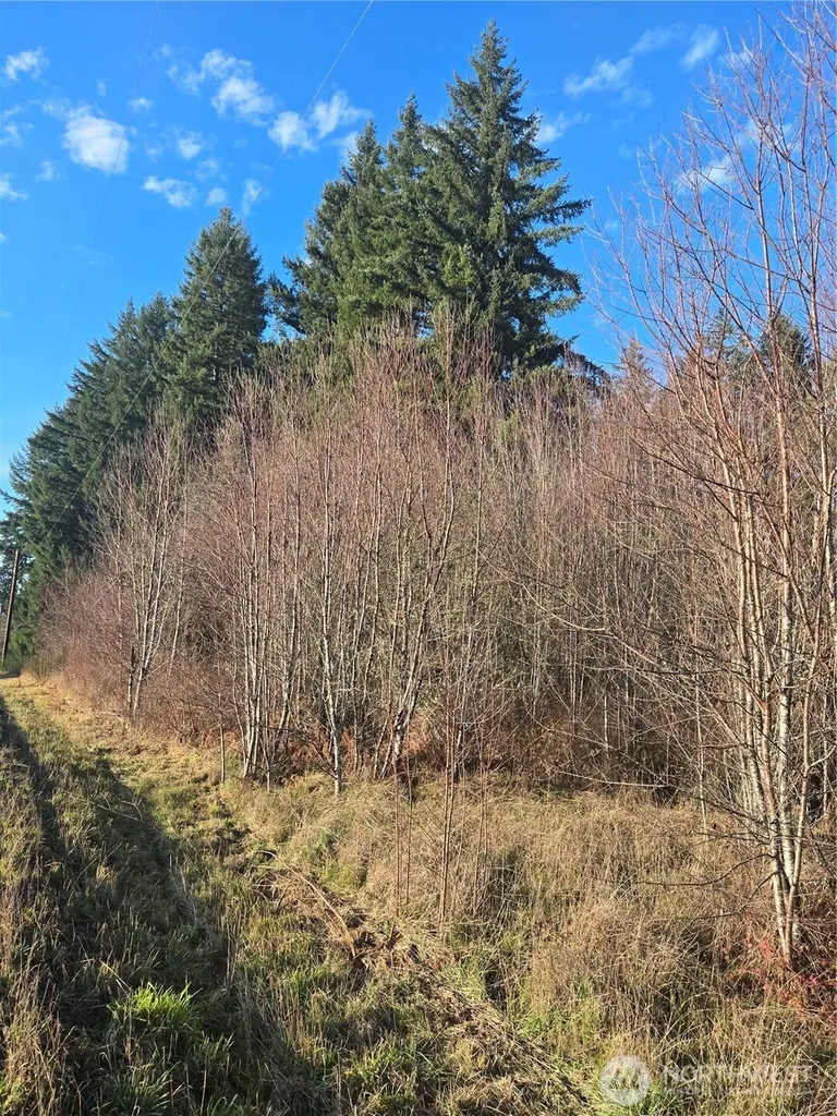 0 Clinton Road Chehalis WA 98532