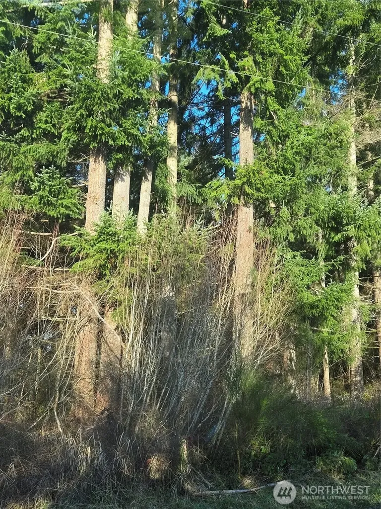 0 Clinton Road Chehalis WA 98532